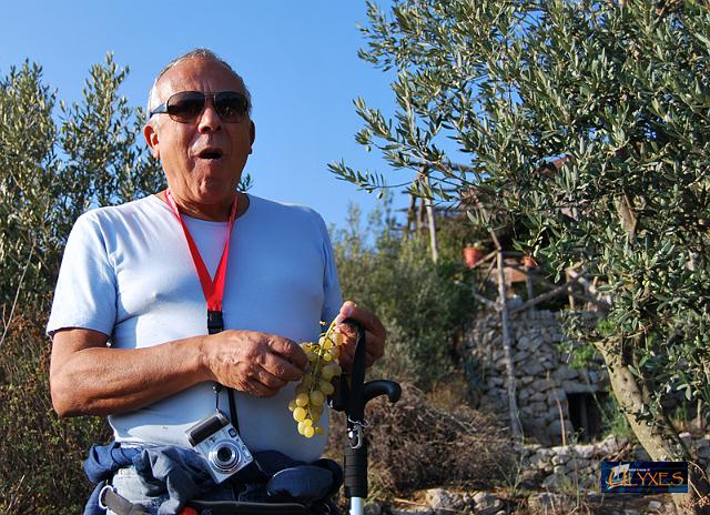 paolo assaggia uva.JPG